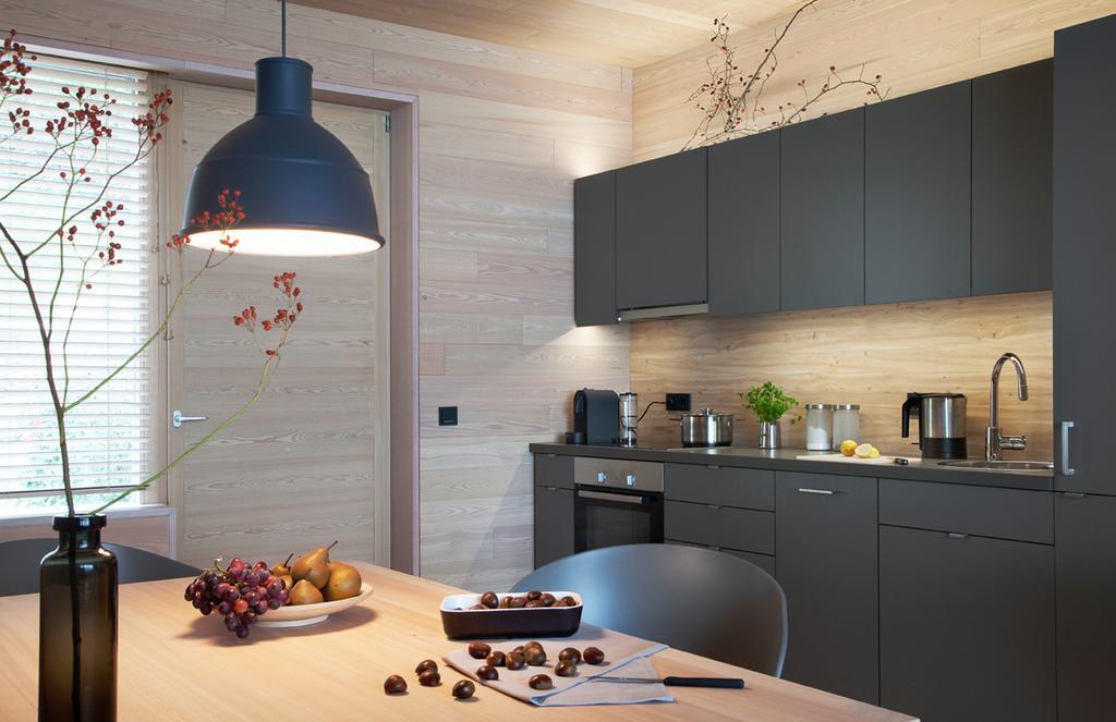 See 31, Ferienlofts Am Traunsee Apartment Траункирхен Екстериор снимка